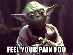 A picture of Yoda saying: feel your pain I do